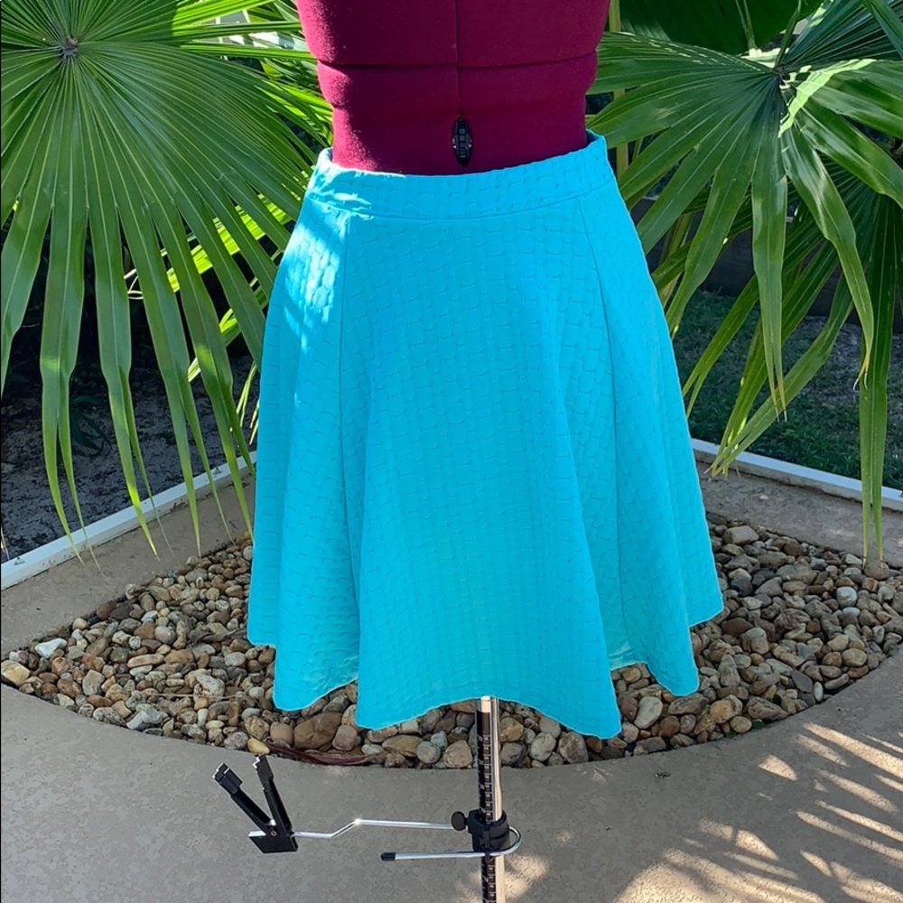 Tiffany Blue Skirt